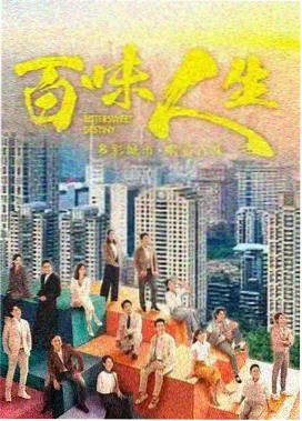 雾港回声剧集封面